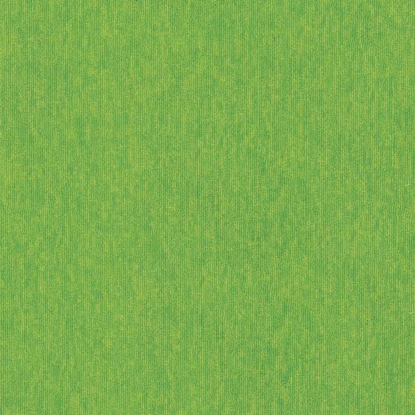 Borneo-Karo-Hali6-150x150.webp